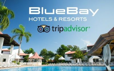 Bluebay Hotels & Resorts, the first spanish chain with direct integration of its hotels in the TripAdvisor’s ‘Instant Booking’ system