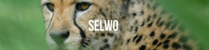 SELWO MINIBUS TOUR